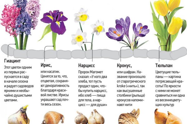 Кракен без впн