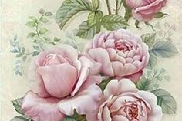 2krn cc официальный