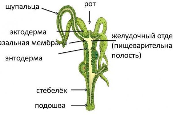 Кракен даркнет скачать