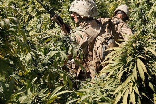 Кракен маркет darknet